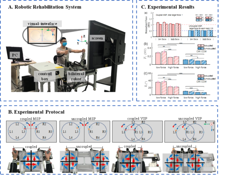 Research Progress in the Bilateral Asymmetry of Hand Force Production ...