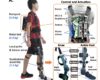 Research Progress in Toward Gait Symmetry Enhancement via a Cable-Driven Exoskeleton Powered by Series Elastic Actuators was Reported by IEEE RAL