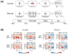 Undergraduate Students Published a Article on Short-term Priming Effects in IEEE TCDS